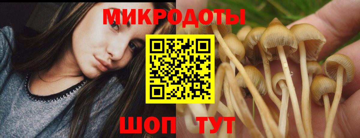 Псилоцибиновые грибы прущие грибы Луховицы